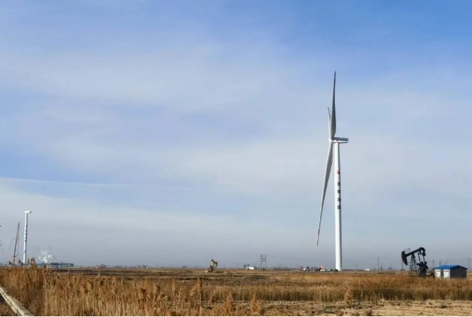 15万千瓦自消纳风光发电项目 累计碳收益超1亿元