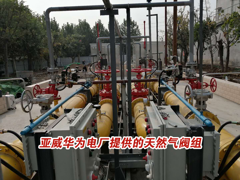 亚威华为燃气电厂生产天然气阀组