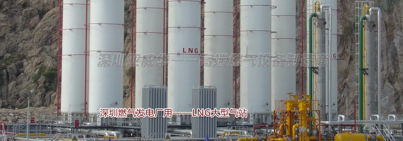 深圳燃气发电厂用—LNG大型气化站